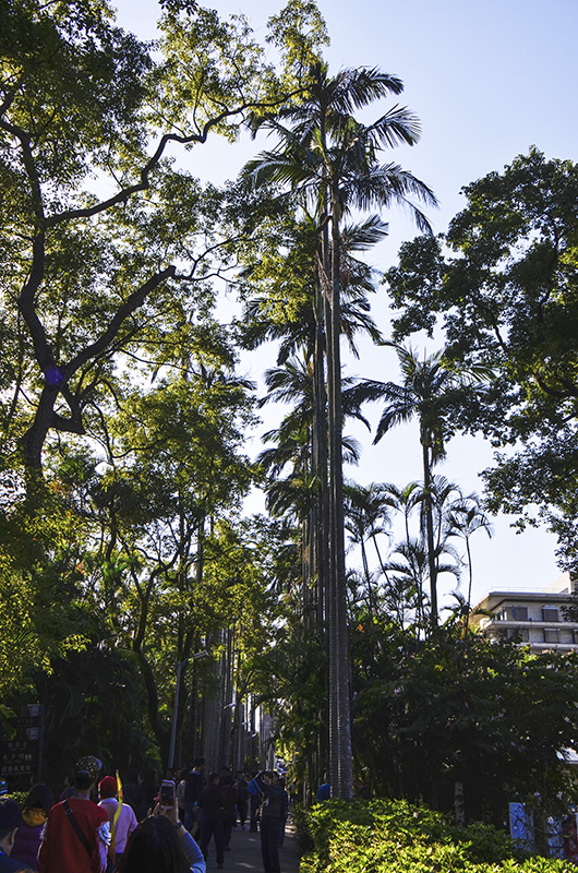 2014��12��13��̨�� a1491.jpg