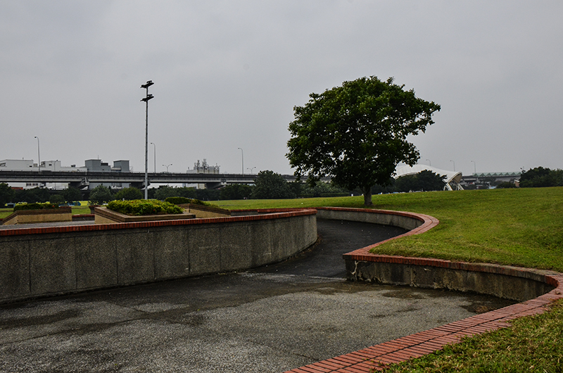 2014��12��13��̨��a 9401.jpg