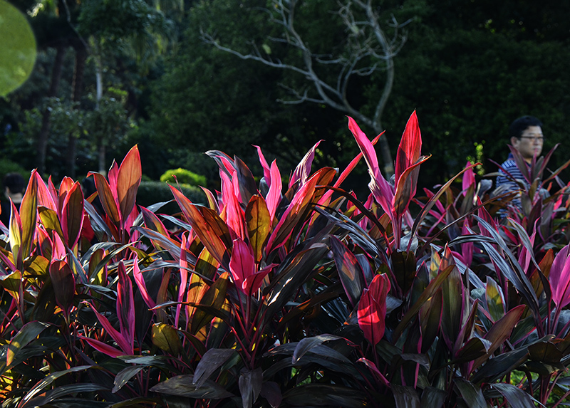 2014��12��13��̨�� a3321.jpg