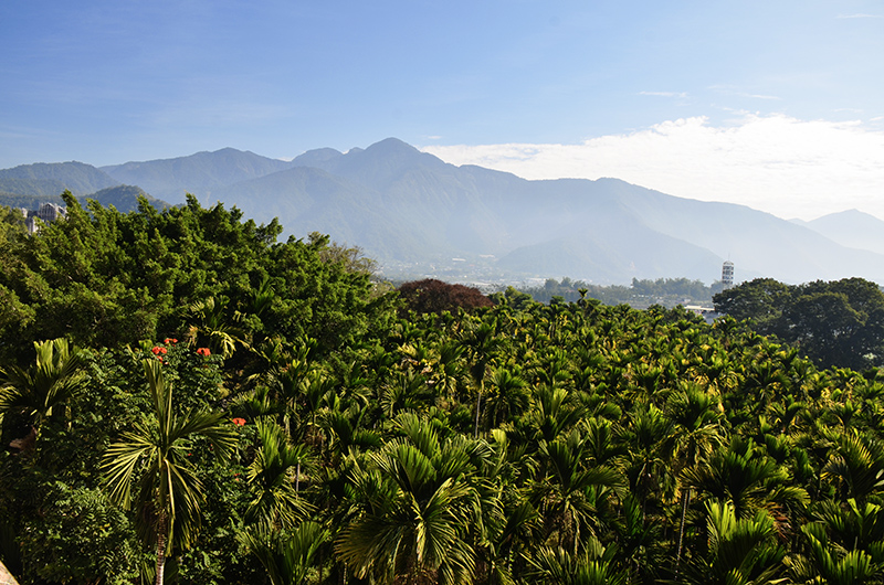 2014��12��13��̨�� a3521.jpg