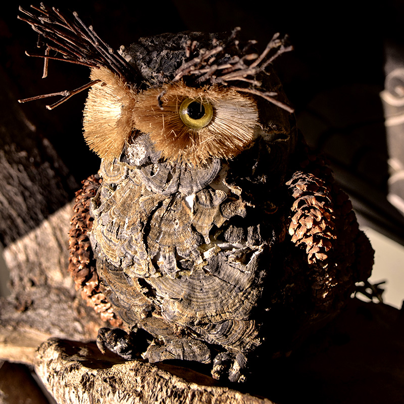 2014��12��13��̨�� a5031.jpg