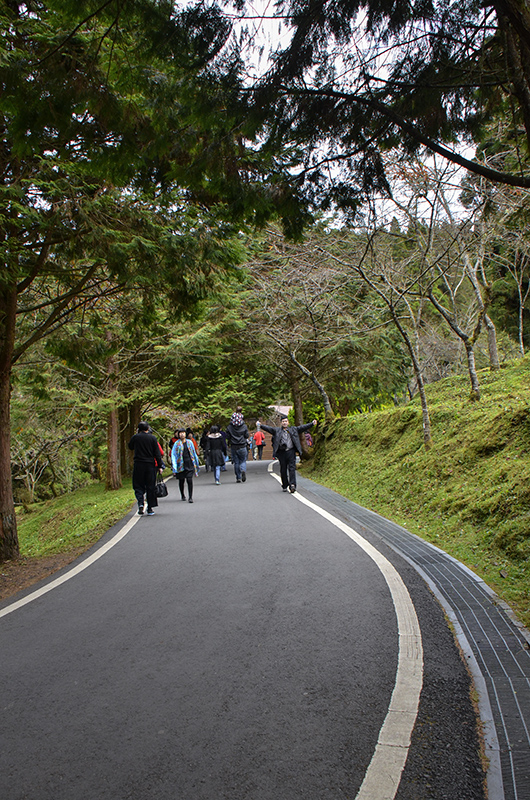 2014��12��13��̨�� a5471.jpg