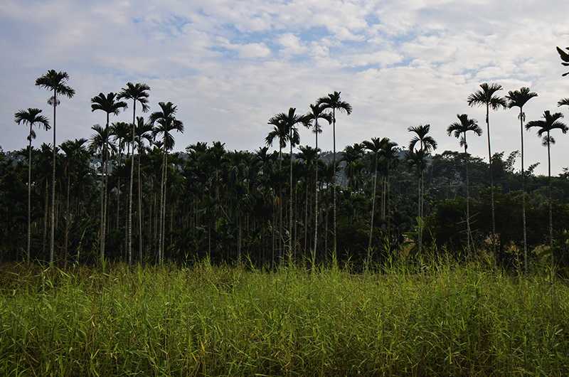 2014��12��13��̨�� a5631.jpg