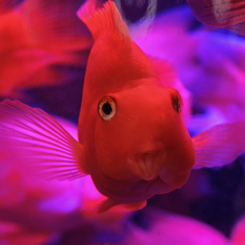 2014��12��13��̨�� a7221.jpg