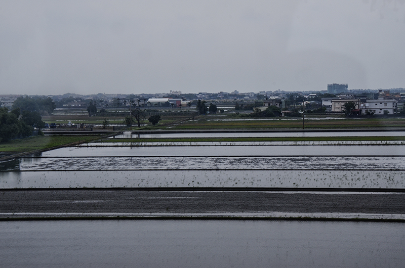 2014��12��13��̨�� a9261.jpg