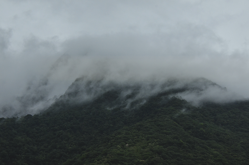 2014��12��13��̨��a 9201.jpg