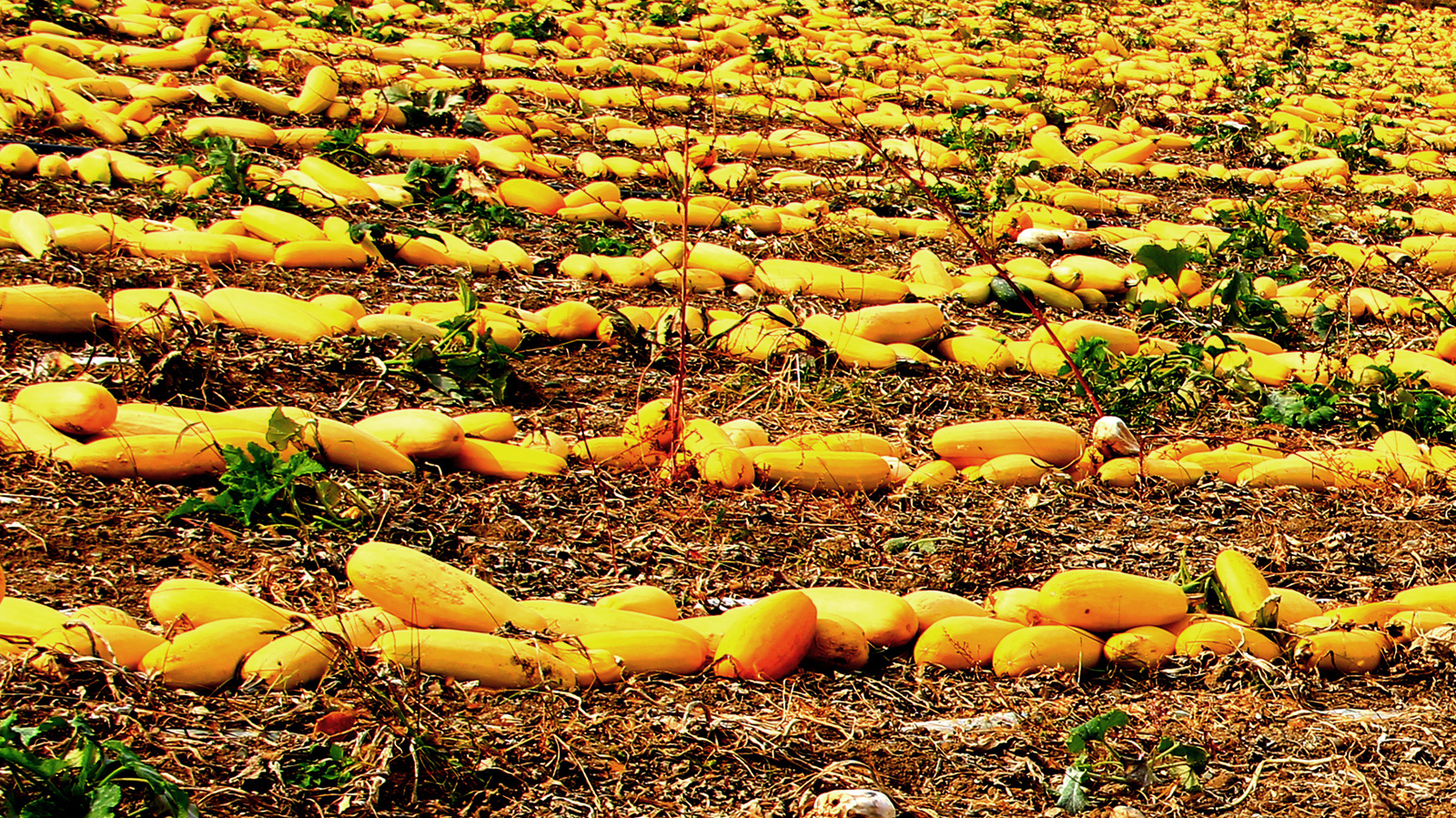 �ջ���� (1).jpg