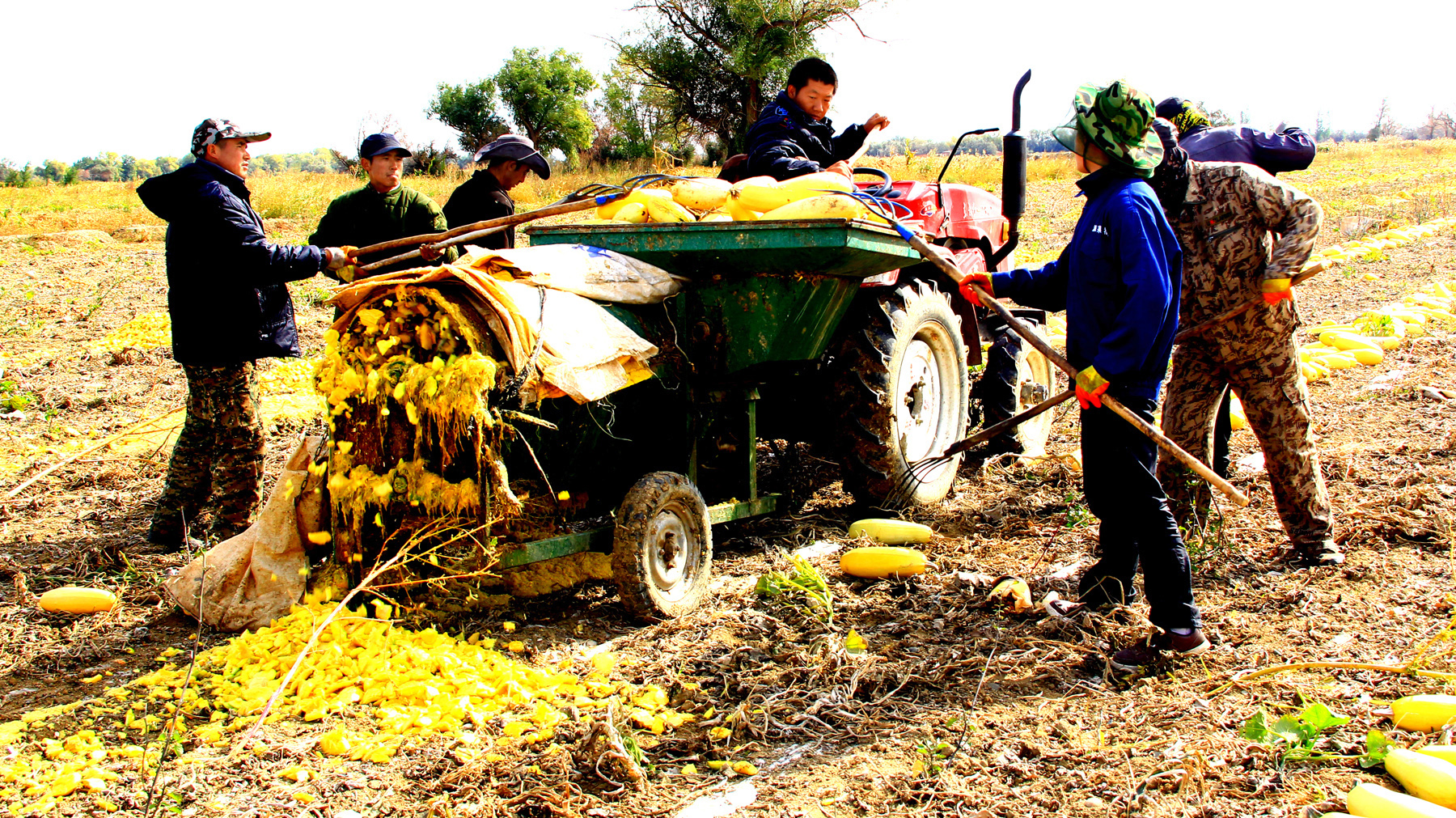 �ջ���� (2).jpg