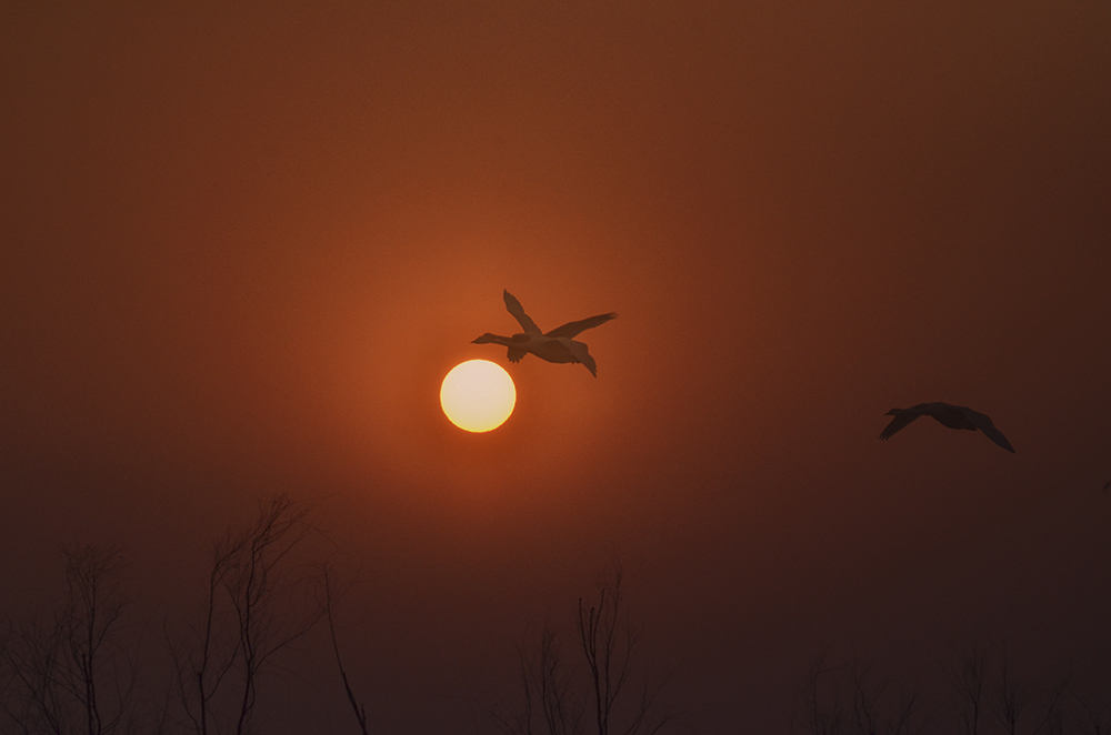 2015��1��12��ɽ��7000 a2321.jpg