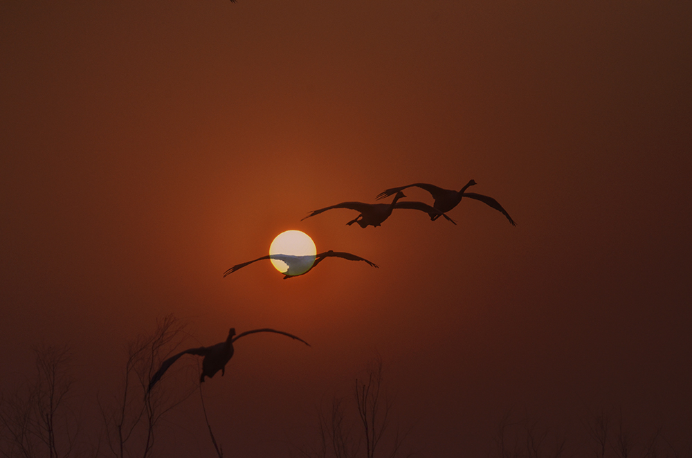 2015��1��12��ɽ��7000 a2301.jpg