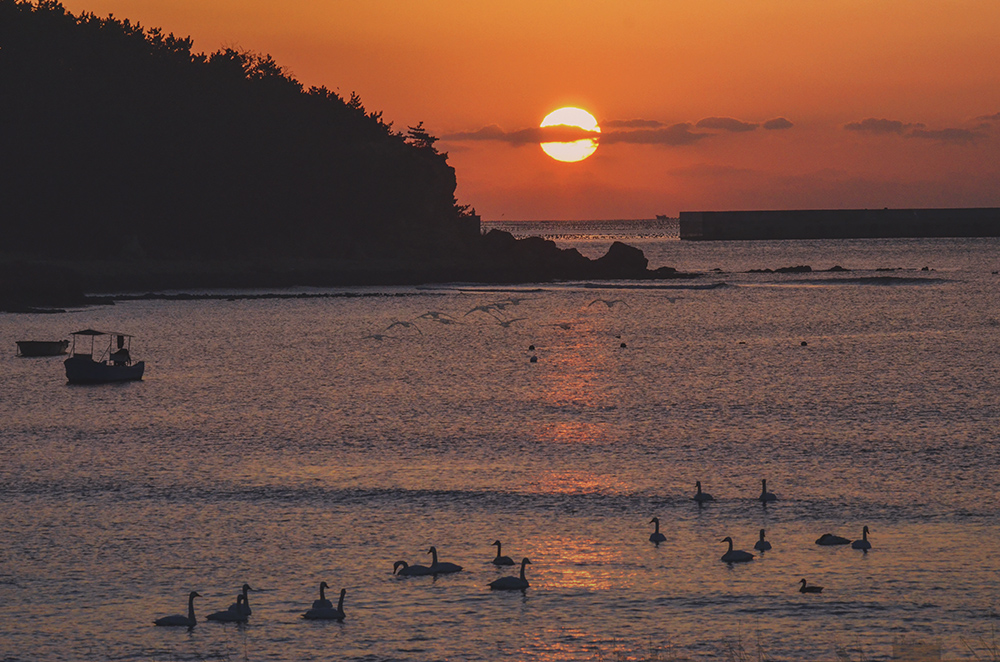 2015��1��12��ɽ��7000 a5011.jpg