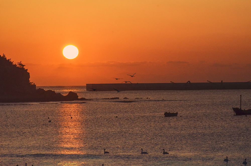 2015��1��12��ɽ��7000 A5201.jpg