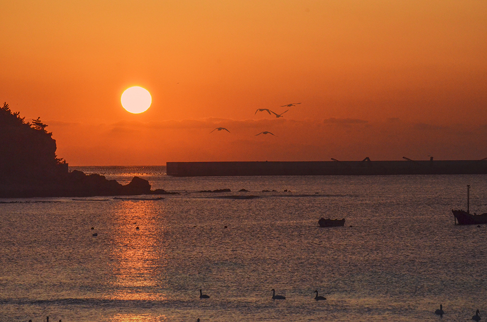 2015��1��12��ɽ��7000 a5211.jpg