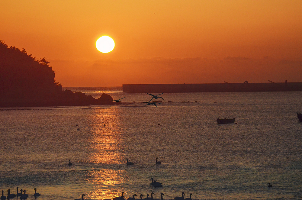 2015��1��12��ɽ��7000 A5231.jpg