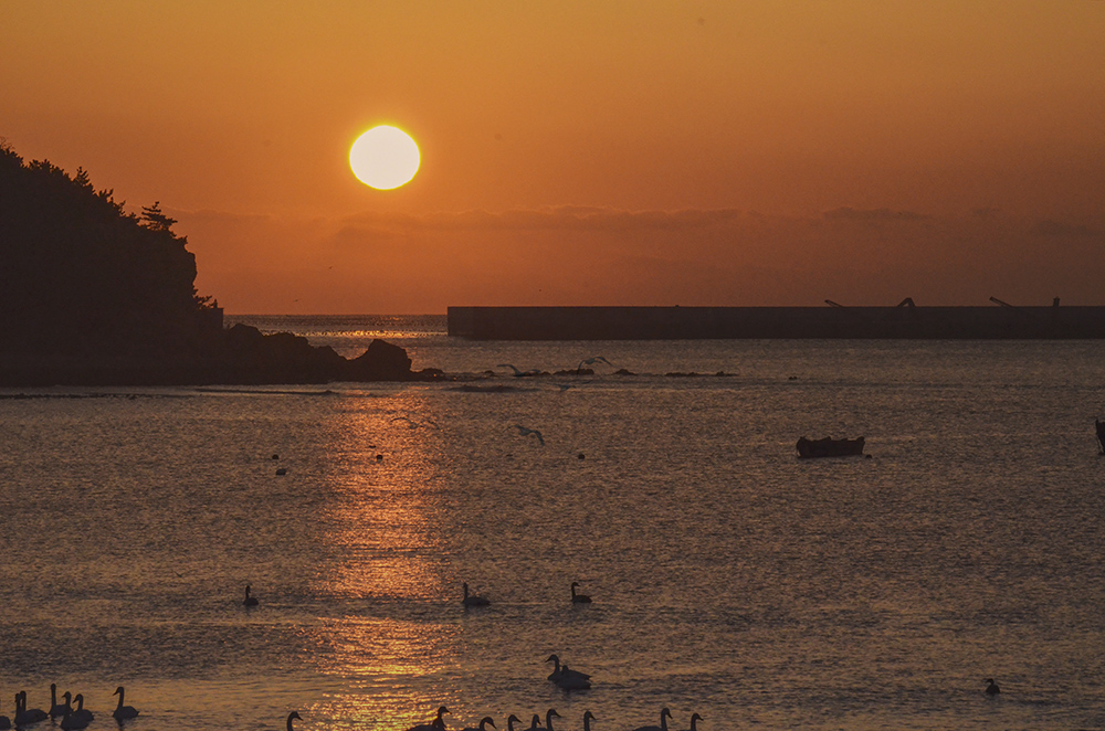 2015��1��12��ɽ��7000 A5221.jpg