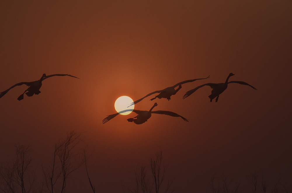 2015��1��12��ɽ��7000 aa2311.jpg