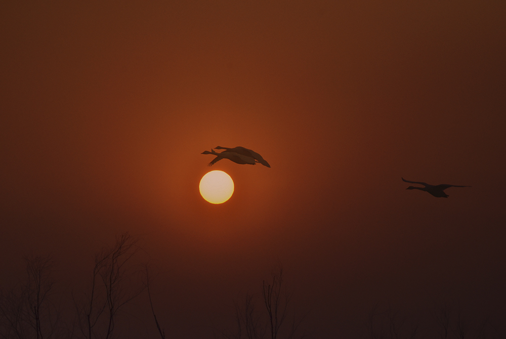 2015��1��12��ɽ��7000 aa2301.jpg