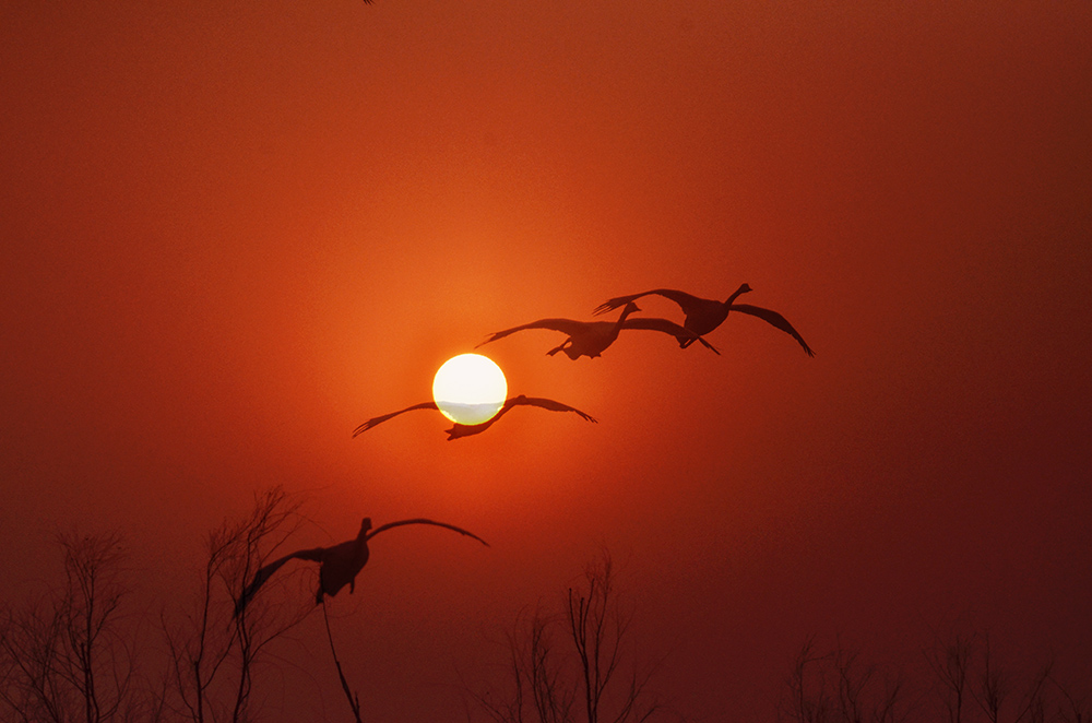 2015��1��12��ɽ��7000 aa2321.jpg