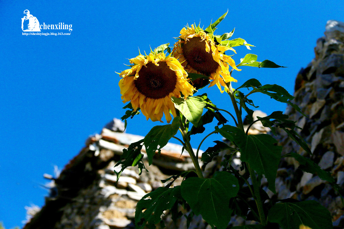 11.  ���տ�����̫������ƶ񤣬��������ʱ�̲�����������������������.jpg