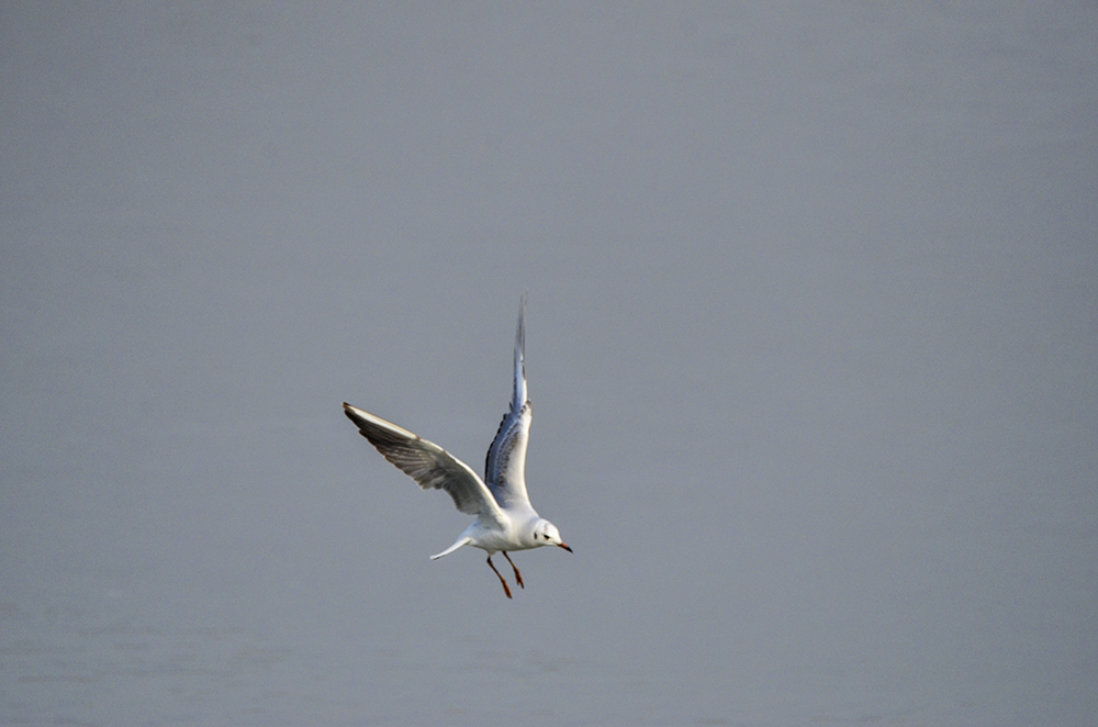 2015��1��12��ɽ��7000 1321.jpg