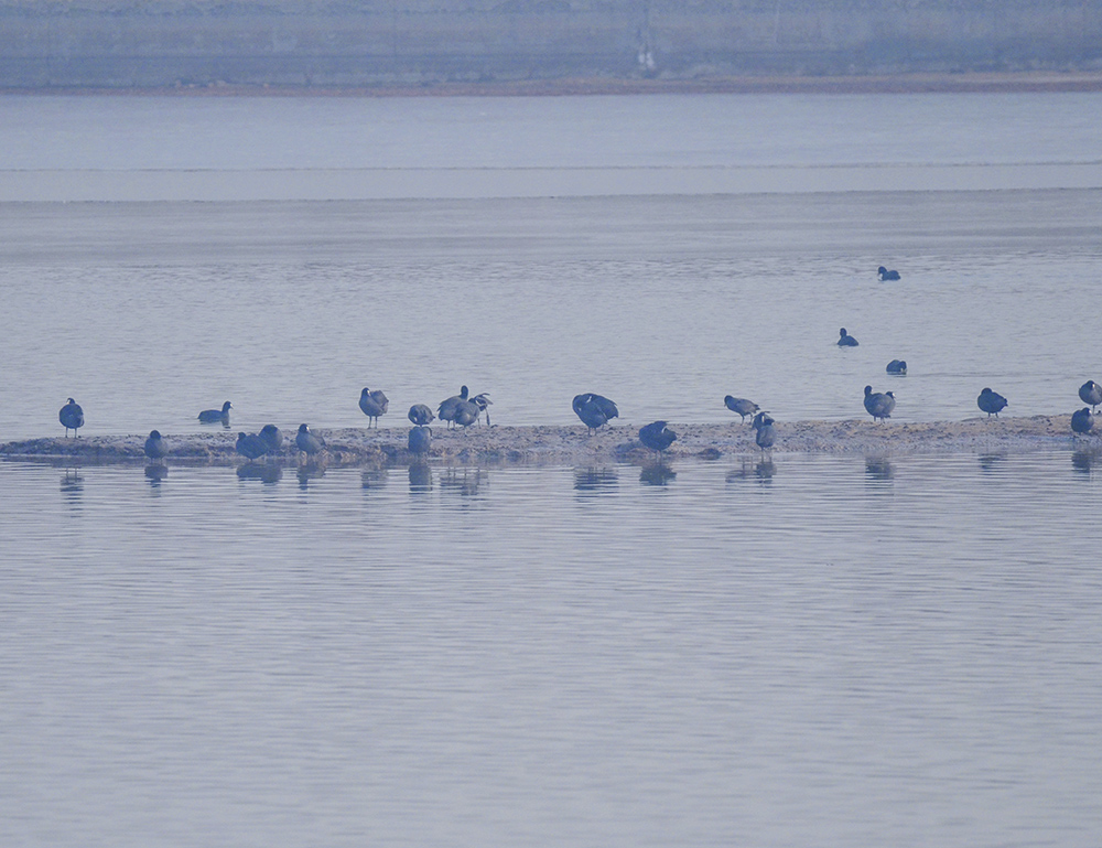 2015��1��12��ɽ��7000 a0081.jpg