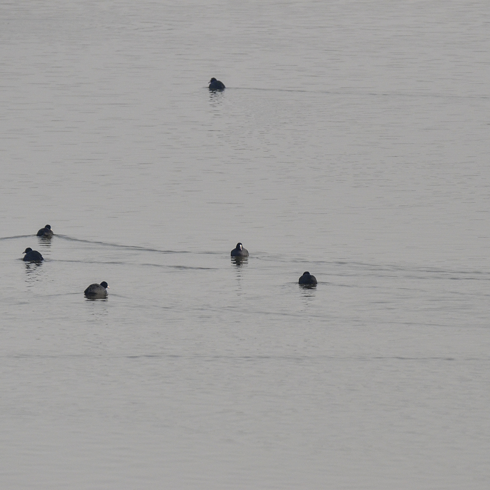 2015��1��12��ɽ��7000 a0061.jpg