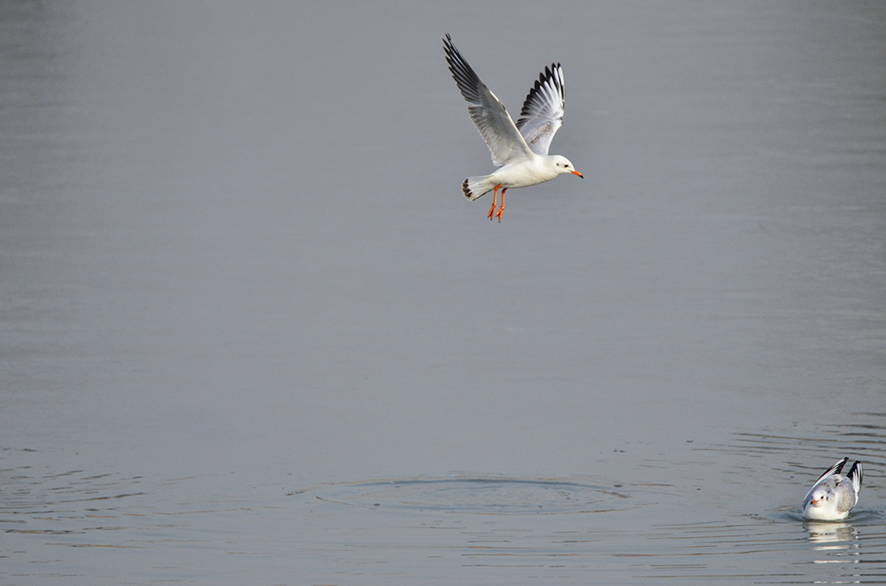 2015��1��12��ɽ��7000 a1181.jpg