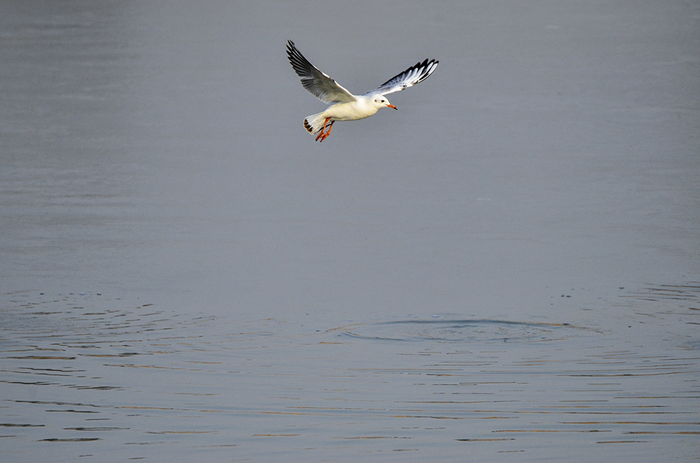 2015��1��12��ɽ��7000 a1171.jpg