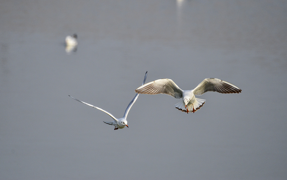 2015��1��12��ɽ��7000 a1221.jpg