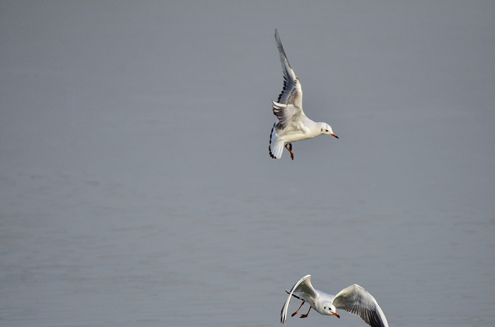 2015��1��12��ɽ��7000 a1301.jpg