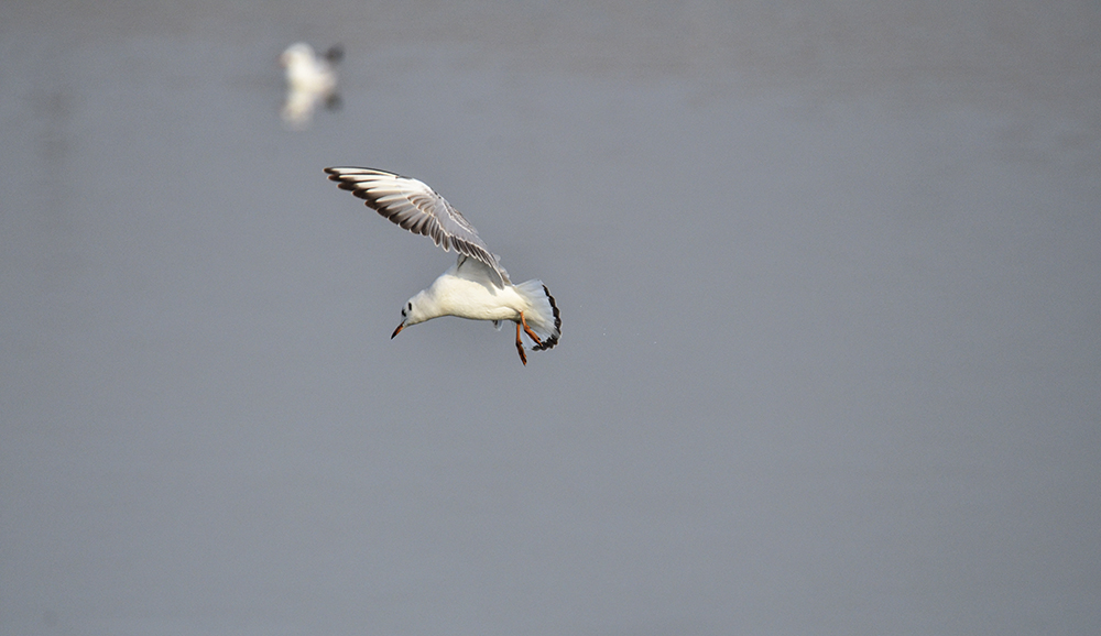 2015��1��12��ɽ��7000 a1231.jpg