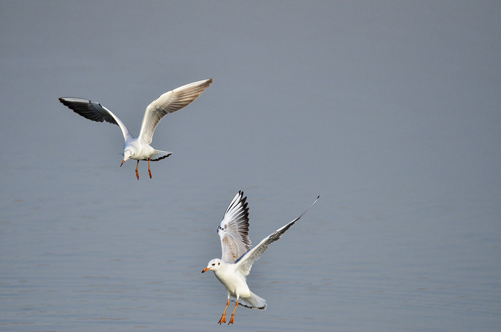 2015��1��12��ɽ��7000 a1351.jpg