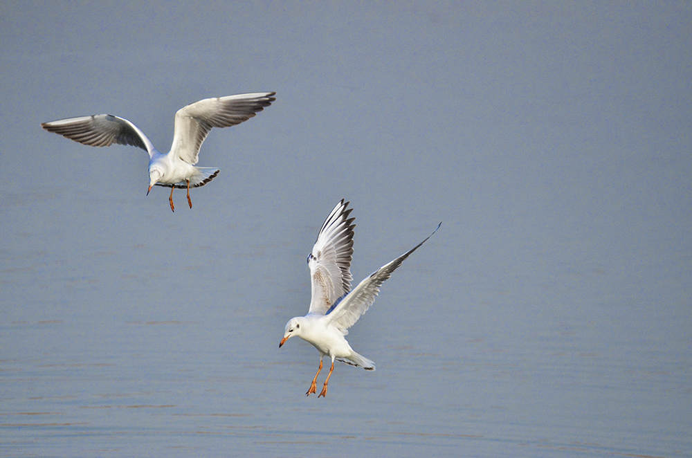 2015��1��12��ɽ��7000 a1361.jpg