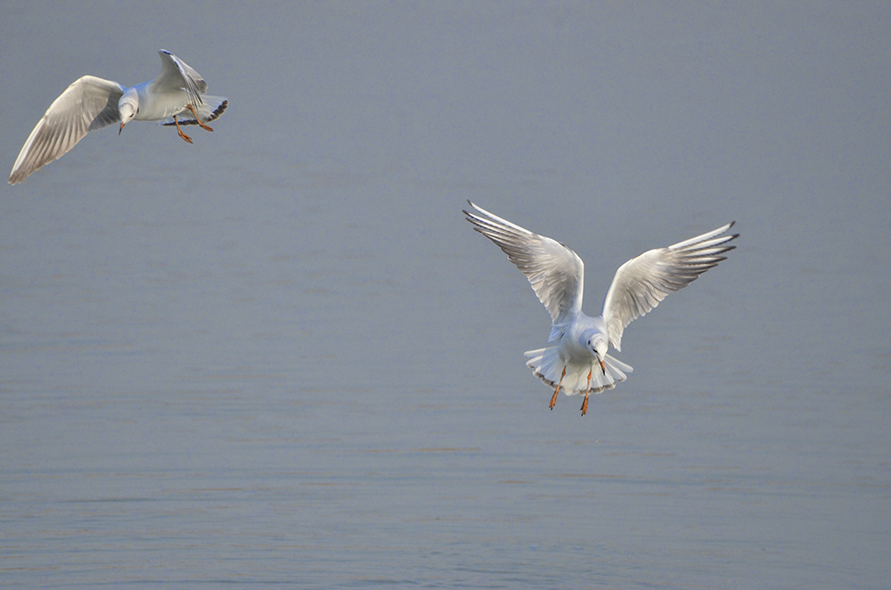 2015��1��12��ɽ��7000 a1381.jpg