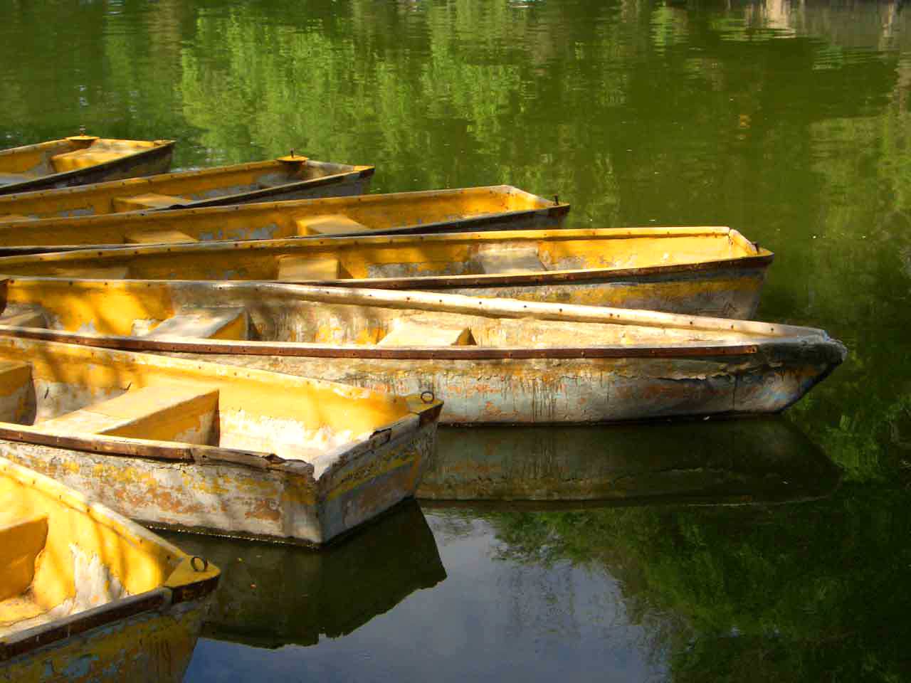 CIMG5064 ����_����.jpg