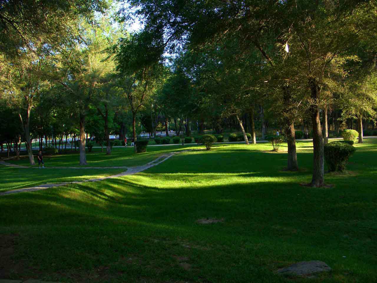 CIMG5099 ����_����.jpg