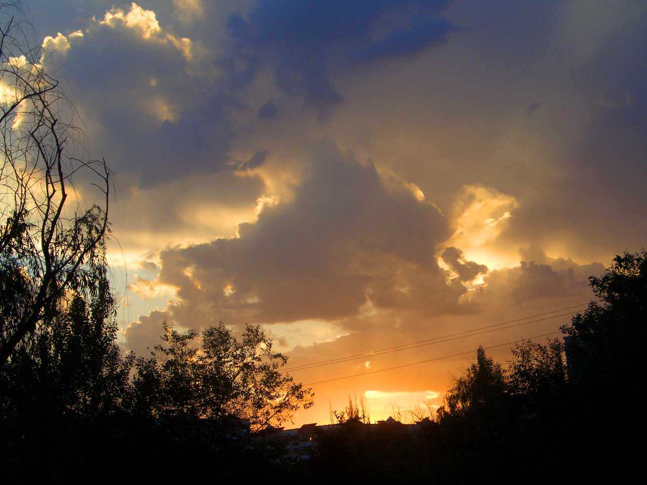 CIMG4936 ����_����.jpg