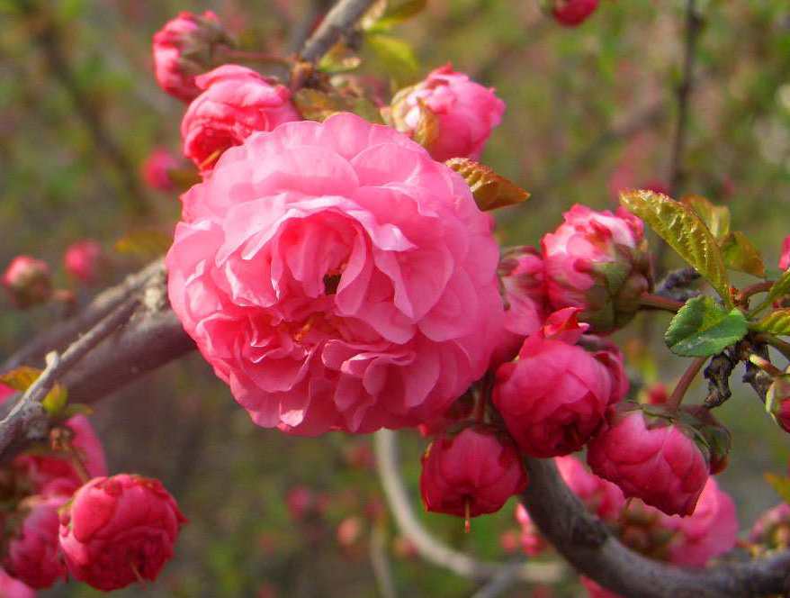 CIMG4304 ����_����_����.jpg