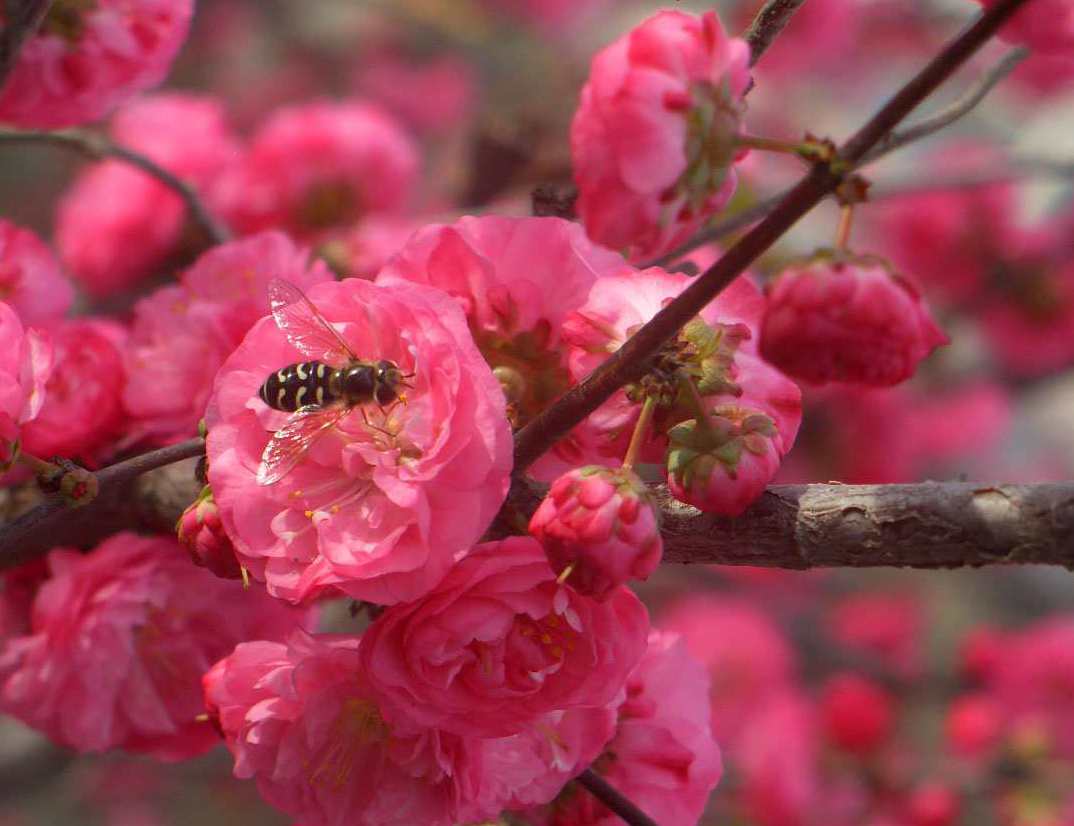 CIMG4309 ����_����_����.jpg