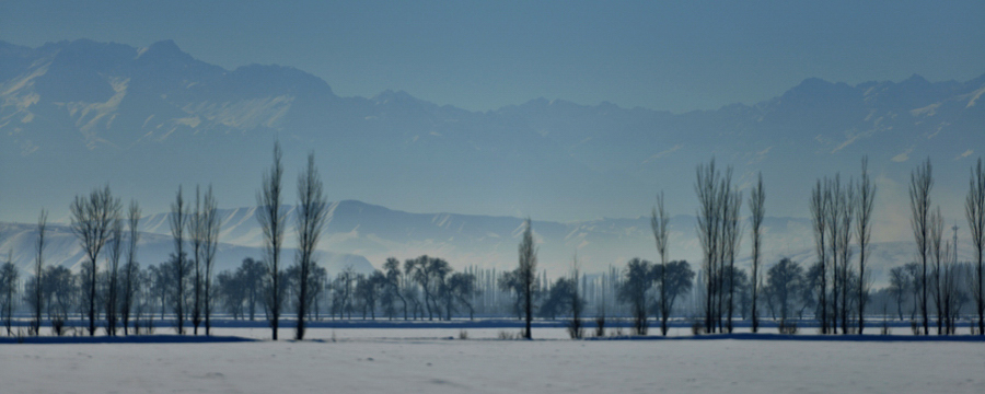 ʯ���ӣ����ʵ���