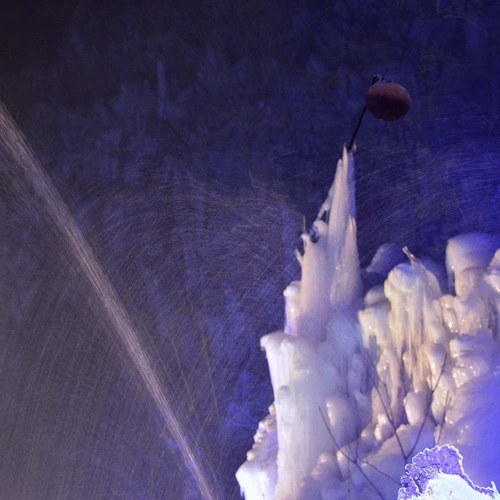 2015��1��2�ձ��� a1161.jpg