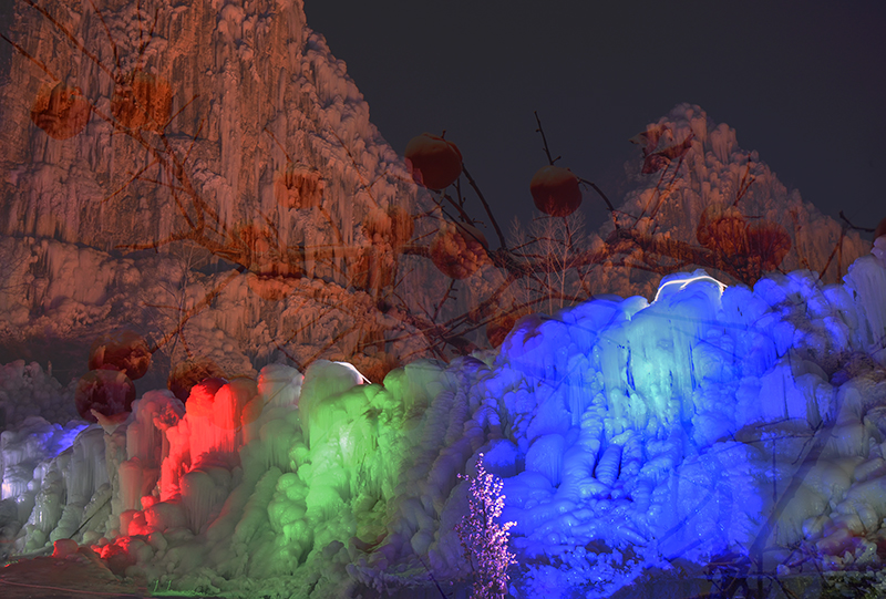 2015��1��2�ձ��� a0881.jpg