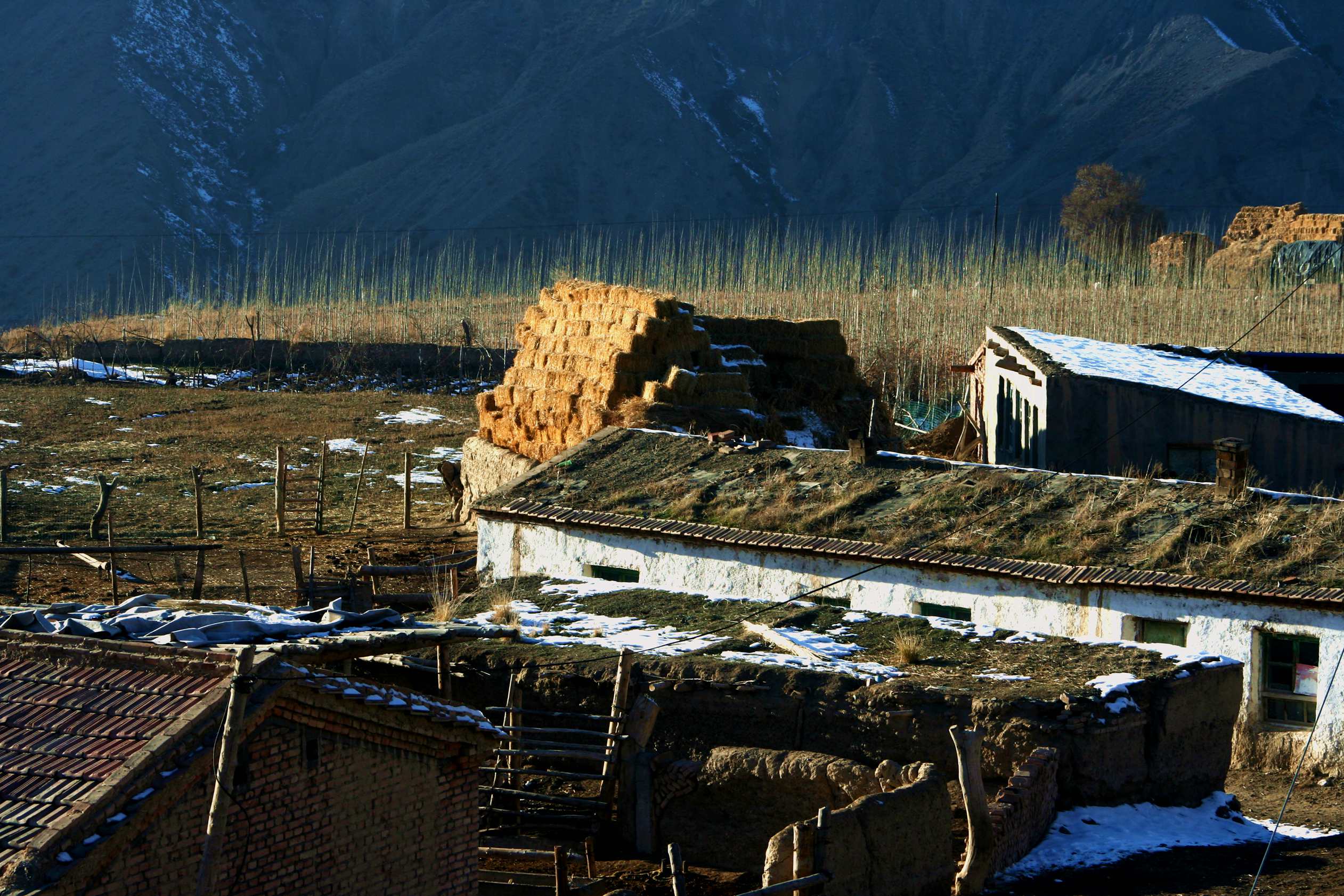 ��Ƭ 133_����.jpg