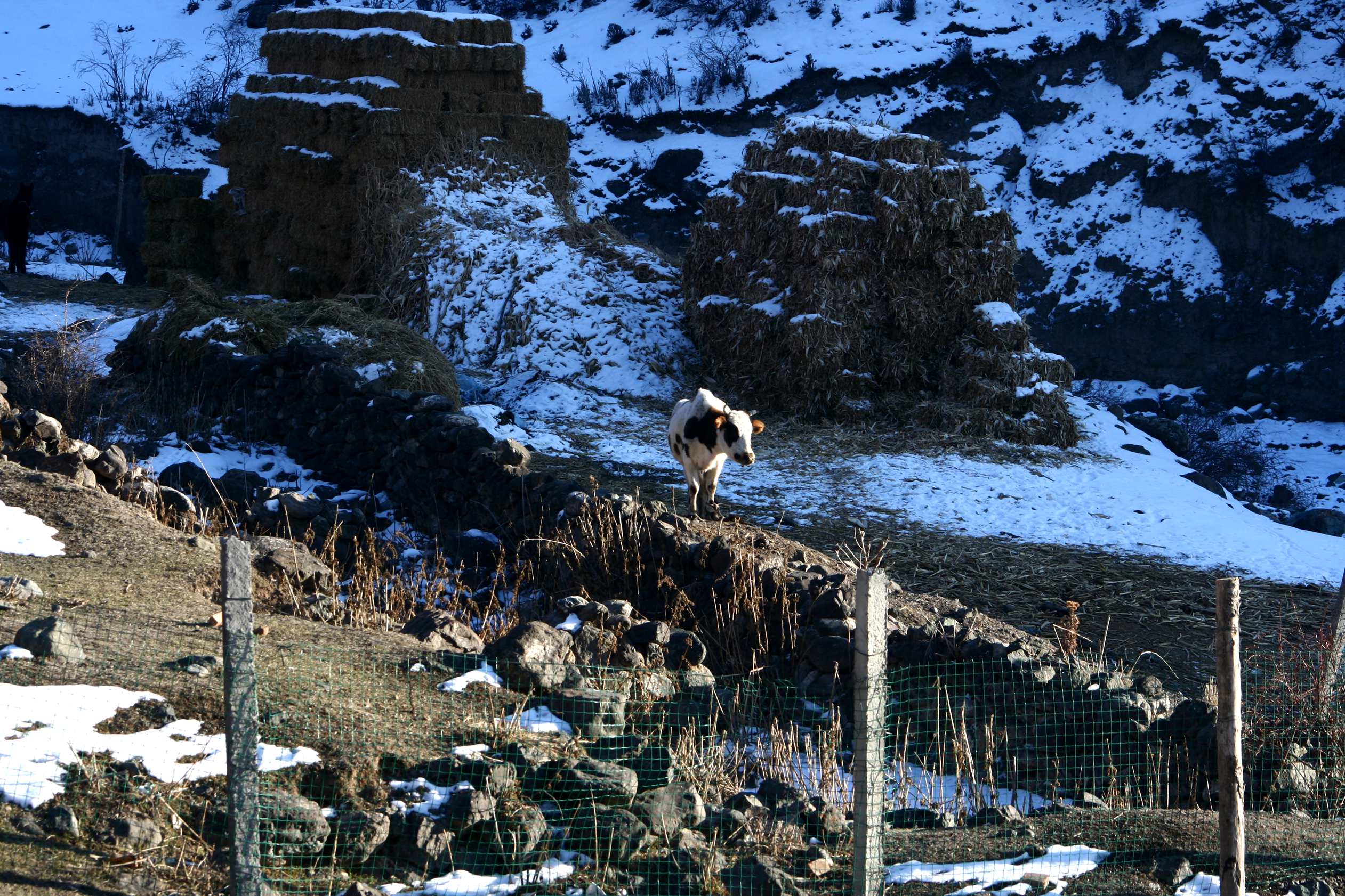 ��Ƭ 140_����.jpg