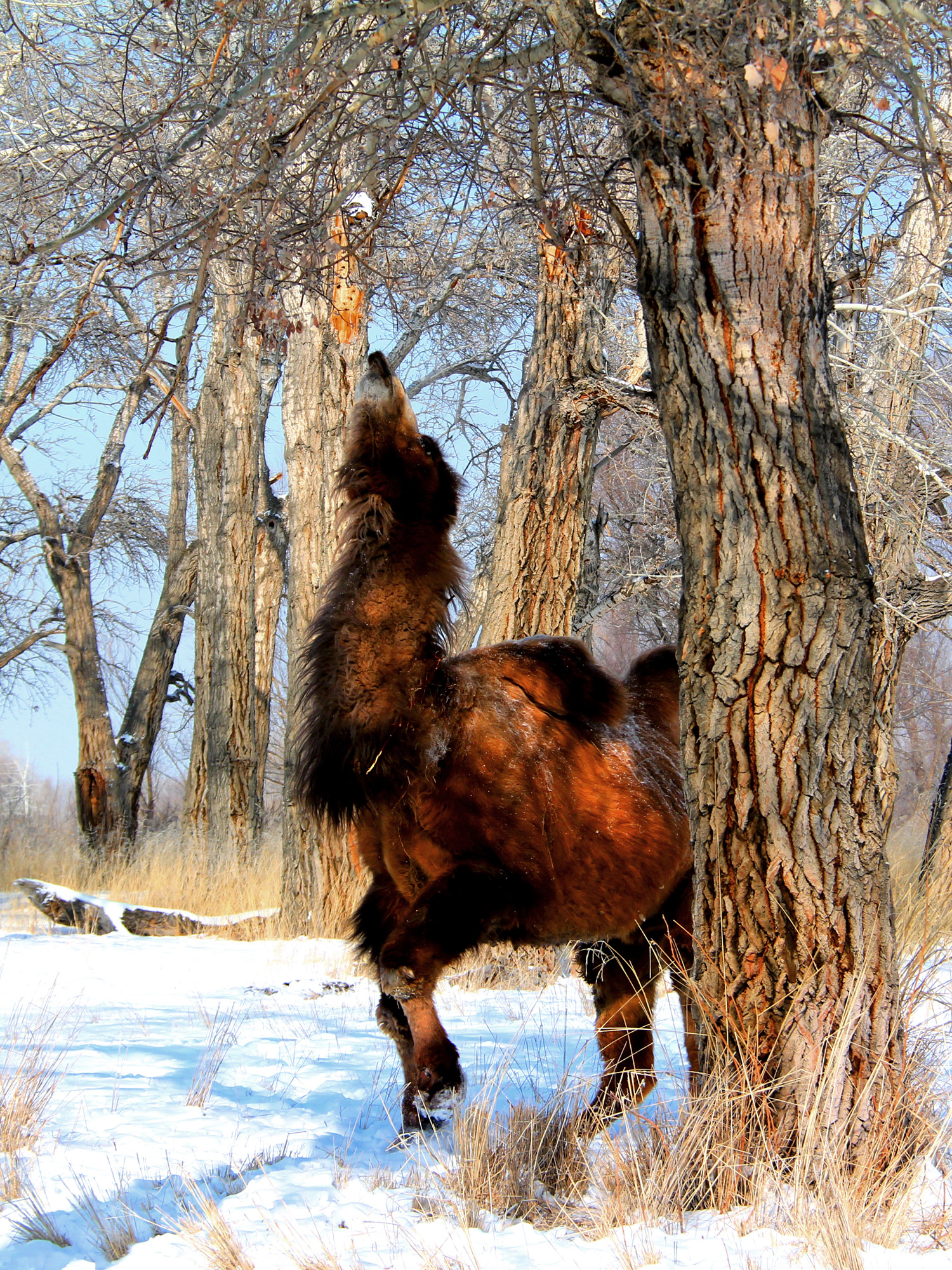 �������裨���� (1).jpg