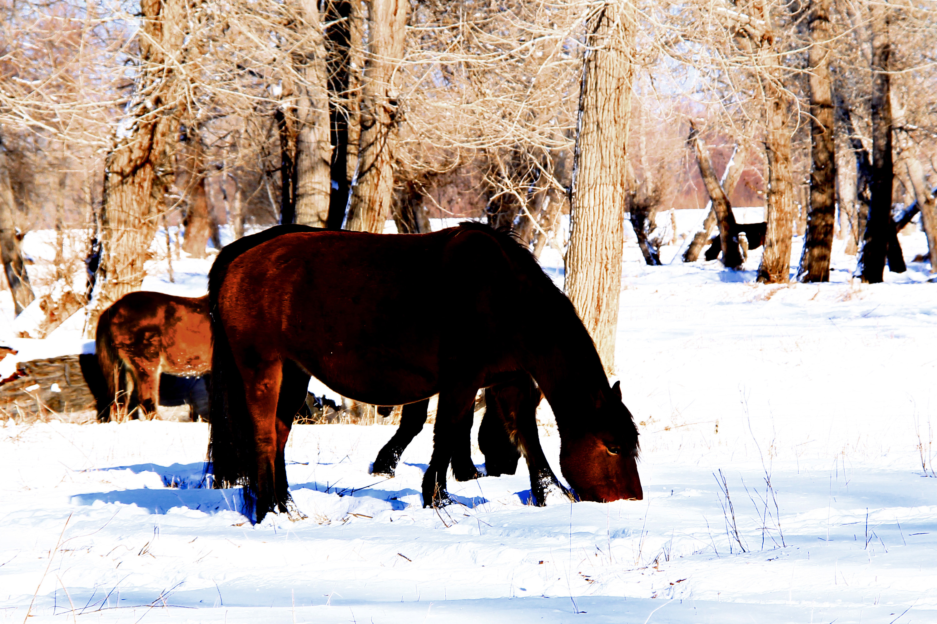 �������裨���� (3).jpg