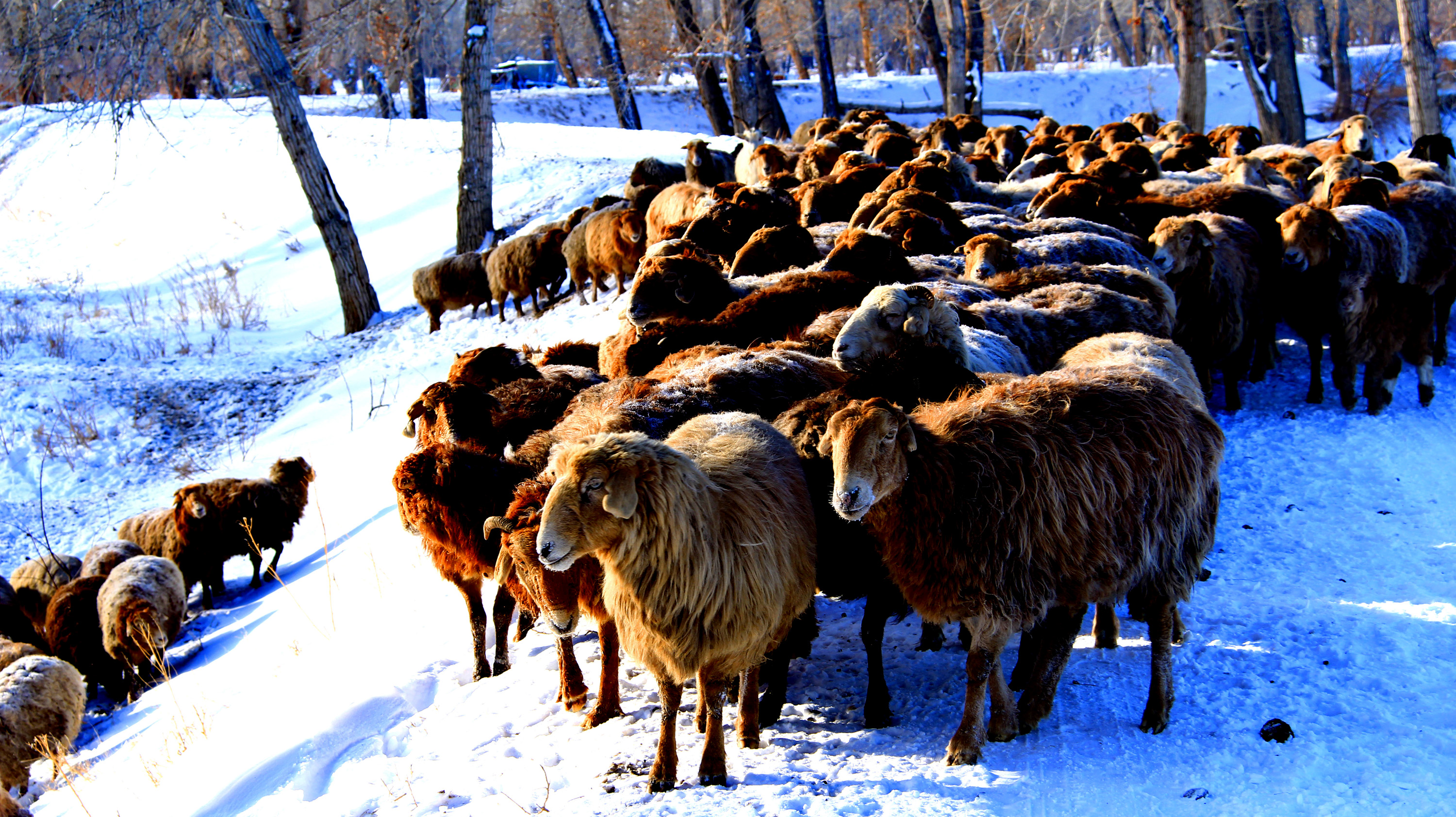 �������裨���� (4).jpg