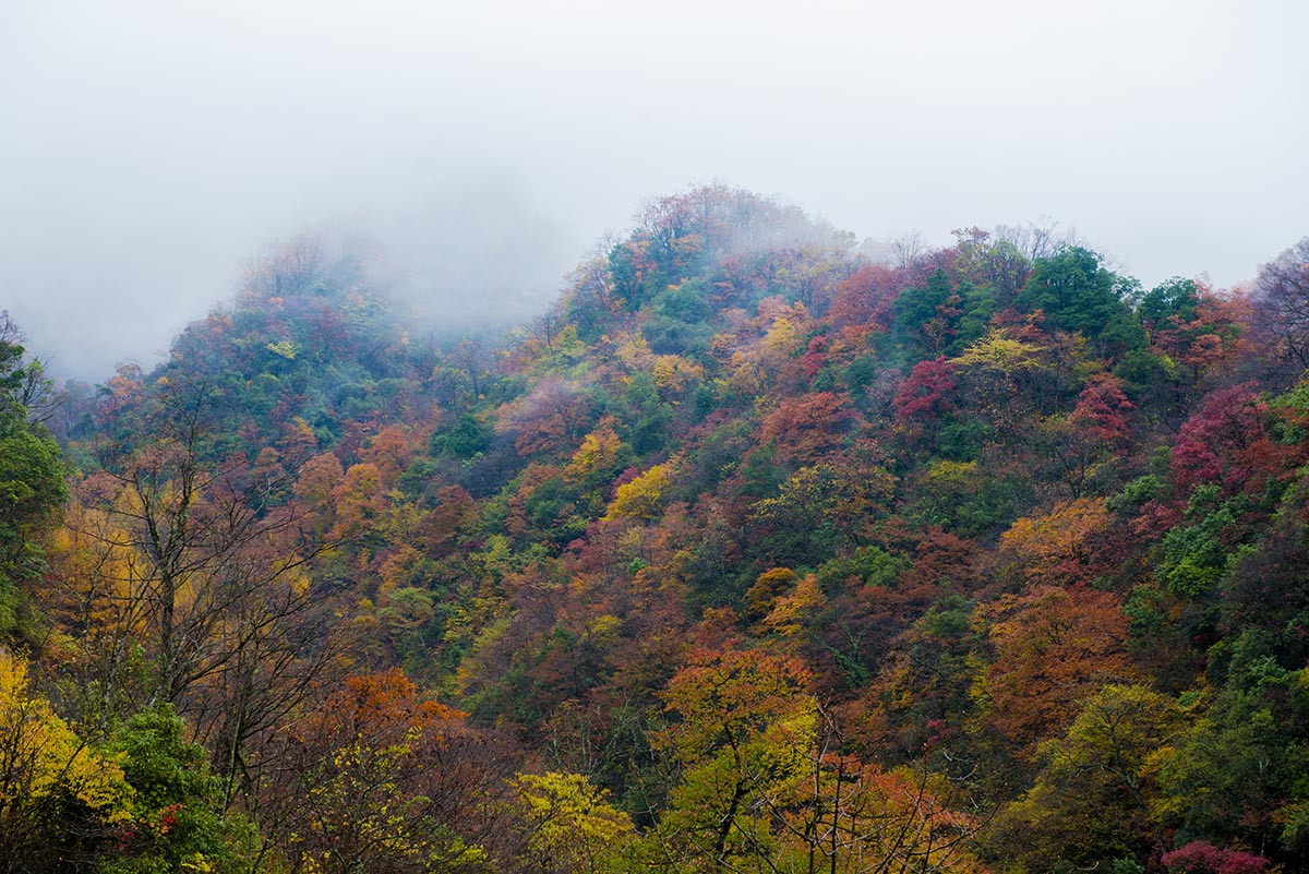 �߲ʹ���ɽ (2).jpg