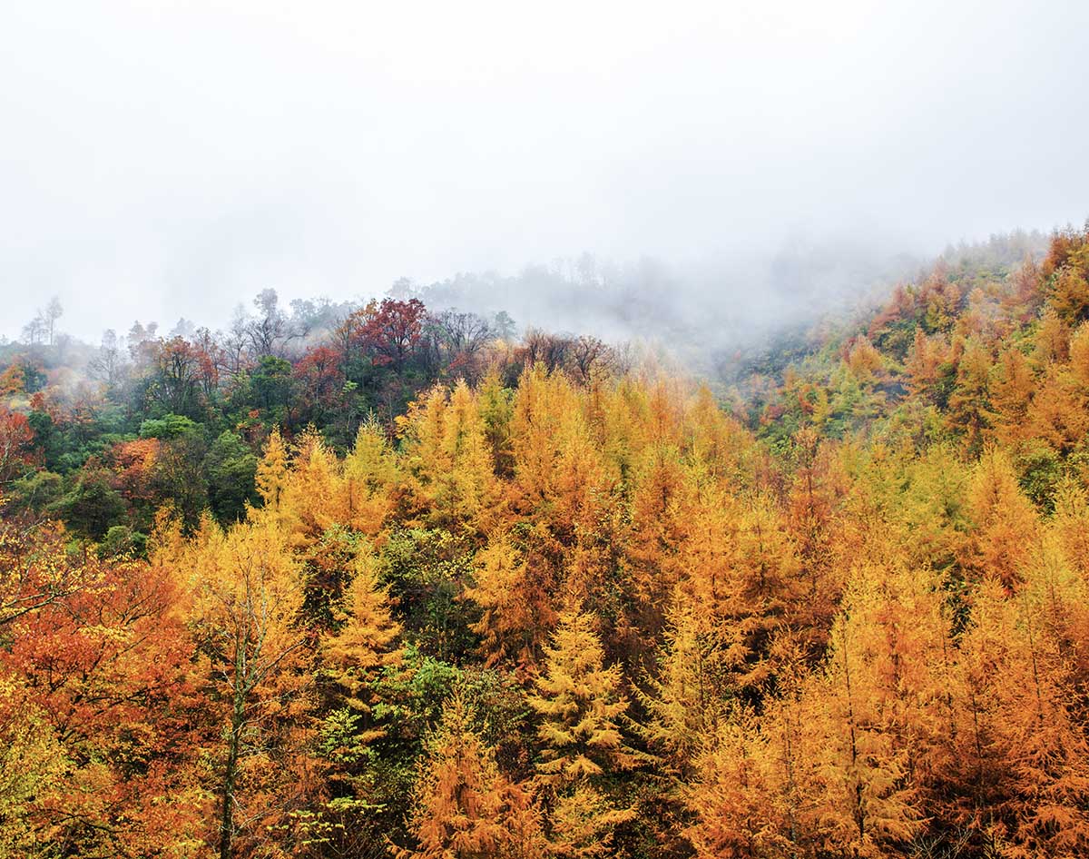 �߲ʹ���ɽ (1).jpg