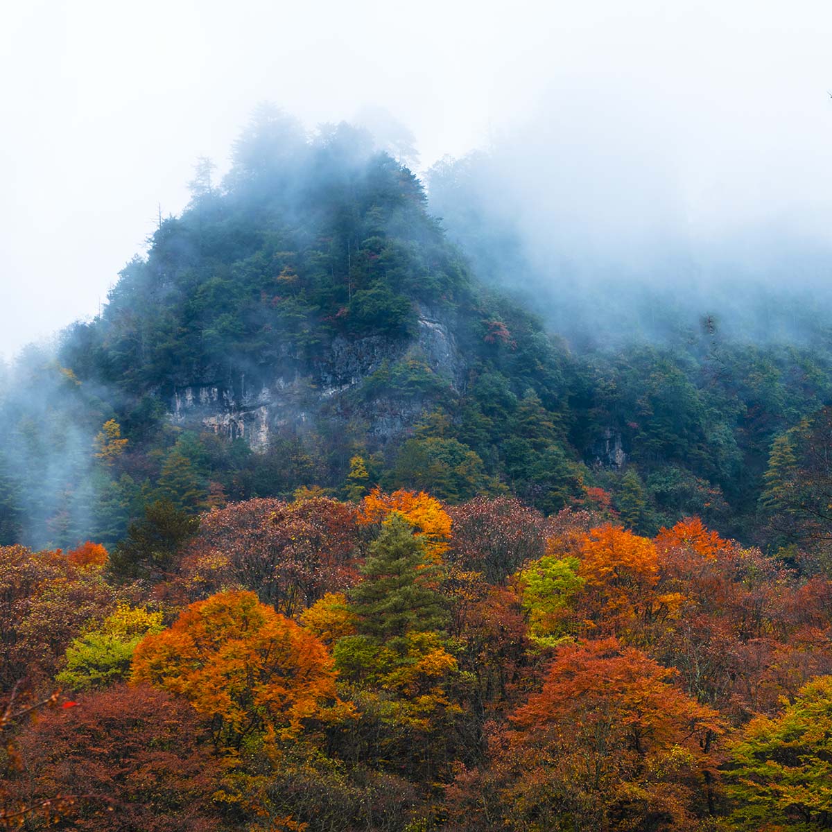 �߲ʹ���ɽ (4).jpg